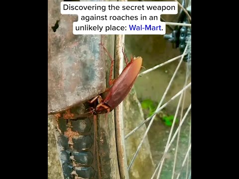 Bugmd