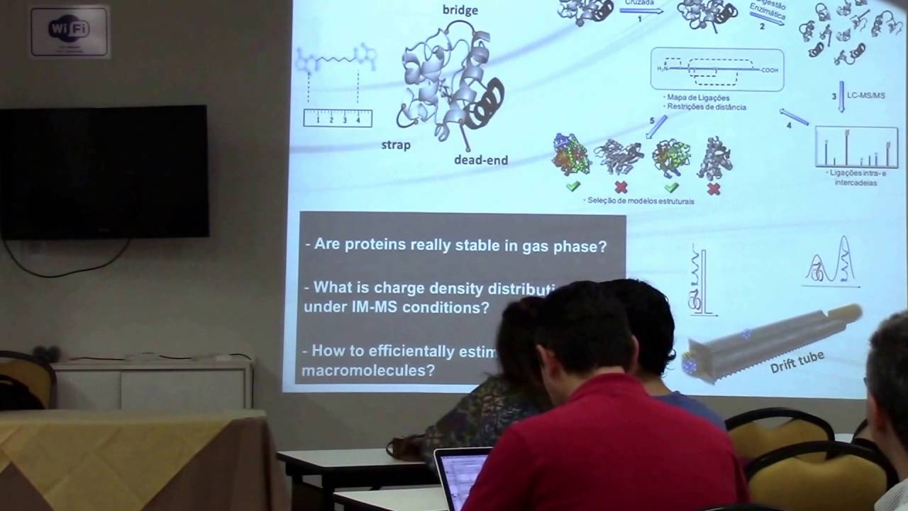 CCES presentation / Protein ion-gas collision cross section - Prof. Munir Skaf (IQ/Unicamp)