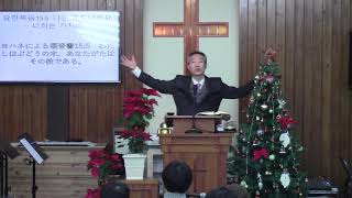 2019년12월29일, 누가복음 13:6-9(금년에도 그대로 두소서)