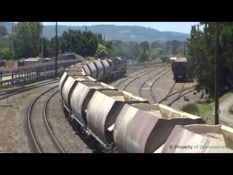 8184 leads limestone to Cringilla MrT S1EP10