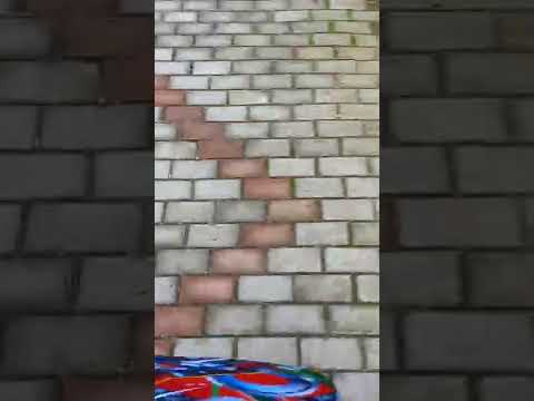 plimbare,cumparaturi,sat ,parc,Plenita,dolj🇹🇩🇹🇩🇹🇩🇹🇩🇹🇩🇹🇩🇹🇩🇹🇩🇹🇩🇹🇩😎🌏🙂🦋😏😊⭐⭐⭐⭐🇹🇩😎🌏🦋