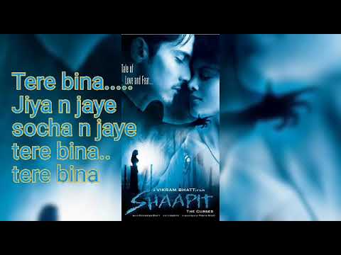 Tere bina jiya na jaye song with lyrics। shapit movie song.