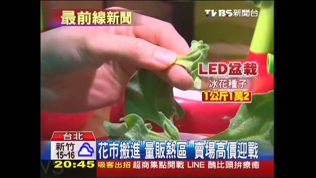 花市搬進「量販熱區」 賣場高價迎戰