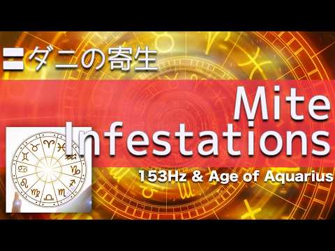 マダニによる危険 – RKI がドイツに新たな危険地域を追加