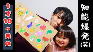 【ぽんチャレ】お野菜、果物どーれだ！？(サービスショットもあるよ)