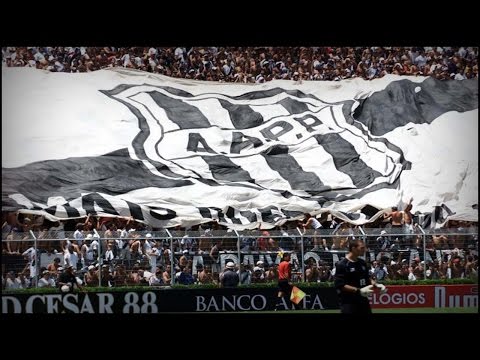 Macaca querida - Ponte Preta [Legendado (EN/PT)]