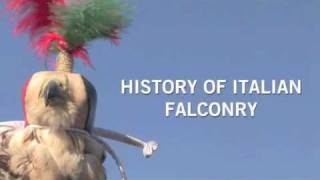 History of Falconry in Italy - Part 1