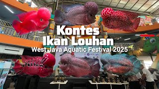 Download lagu Flowerhorn Contest West Java Aquatic Festival 2025 | Ikan Louhan Terbaik Kumpul disini  mp3 Download lagu Flowerhorn Contest West Java Aquatic Festival 2025 | Ikan Louhan Terbaik Kumpul disini  mp3