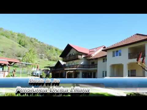 Pensiunea Urzica Liliana