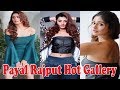 Payal Rajput Payal Rajput Hot Gallery Payal Rajput New Pictures Payal Rajput Hot Mee Tv