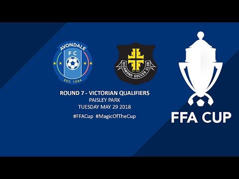 Live FFA Cup Round 7 Avondale FC v Richmond SC