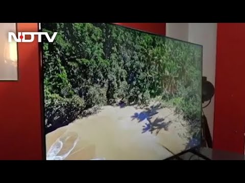 Sony X90J 55 Inch 4K LED-LCD TV - Makes Anything Look Beautiful