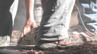 Leaning / Tilting Concrete Foundation Wall - Structural Dynamics