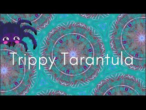 Fractal Flame Screensaver  Trippy Kaleidoscope  -  (1 Hrs)