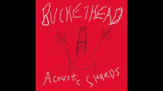 (Full Album) Buckethead Acoustic Shards