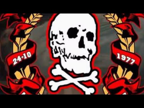 MÚSICA DOS COMANDO DA TORCIDA OS FANATICOS