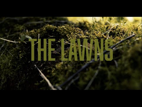 Pilot ONE Media video.