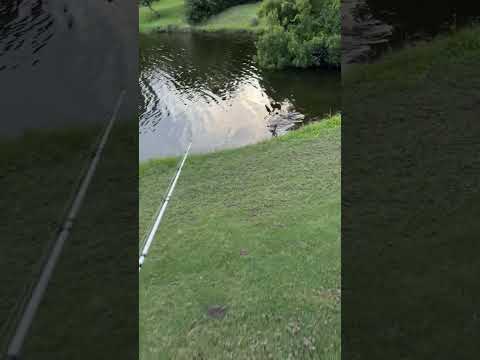 He&rsquo;s like, &ldquo;you think that&rsquo;s fast?&rdquo;