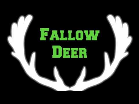 steve angello vs daft punk (Fallow Deer Bootleg)