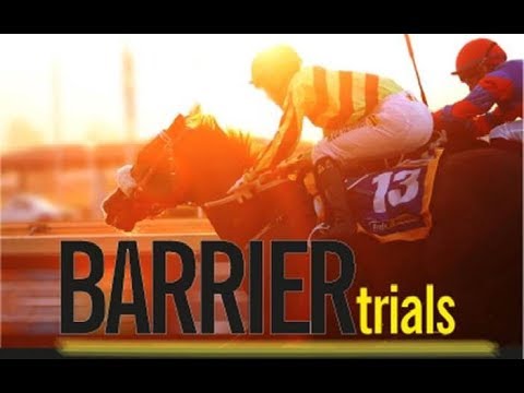 20181024 Greyville Barrier trial 10 won by PROCAL HARUM