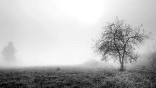Mondblut - Under Her Stars (210)