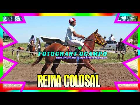 REINA COLOSAL - San Bernardo - Chaco 21/04/2024