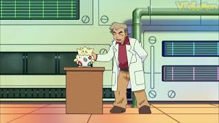 Togepi attacks Professor Oak | Pokemon quiz