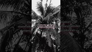 Download lagu Hidup adalah cermin #inspirasi #motivasi #videoshort #foryou #kehidupan #fyp #fypage #cover #music mp3