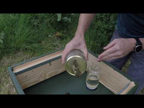 New UK Beekepeer   Blog #6 - Rapid Feeder