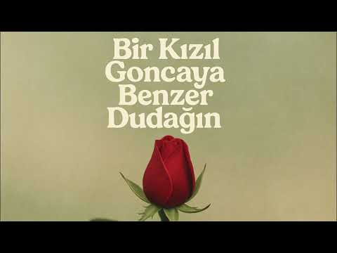 Bir Kızıl Goncaya Benzer Dudağın – Anatolian Psychedelic Rock Cover