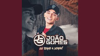 Download É Amor João Gomes