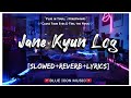 Jane Kyun Log Pyar Karte Hain- Slowed+Reverb+Lyrics Song || Udit Narayan, Alka Yagnik