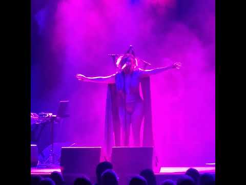 Lady blackbird Live  - Collage - 29th July 2023