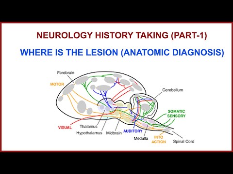 NEUROLOGY HISTORY TAKING (PART 1) ,  WHERE IS THE LESION ?(ANATOMIC DIAGNOSIS).