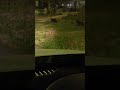 2 Black Cats Strolling