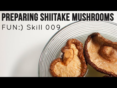download lagu mp3 mp4 Dehydrated Mushrooms Shelf Life, download lagu Dehydrated Mushrooms Shelf Life gratis, unduh video klip Dehydrated Mushrooms Shelf Life