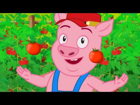 3 Historias dos Três Porquinhos | Contos | Desenho Animado com @OsAmiguinhosTV