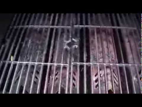 How To Keep Barbecue Grill Grate Clean and Rust Free
