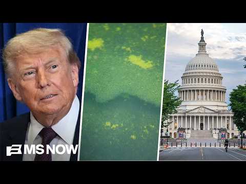 Senate REBUKES Trump on Iran war | Reflecting Pool FIASCO | High-stakes primaries