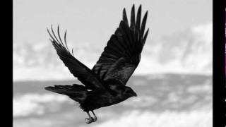 Bathory - The Ravens