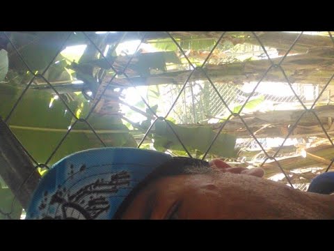 Super Copa Liga ZN - MONACO X ALVIVERDE