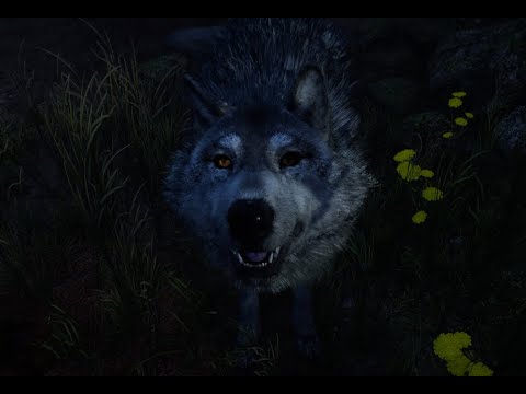 BECOMING THE BEAST MASTER In - Far Cry Primal - Walkthrough Gameplay Part 3 Gameplay (No Commentary)