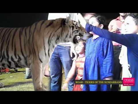 Hetvi Face To Face With The Tigers Of The Sundarbans