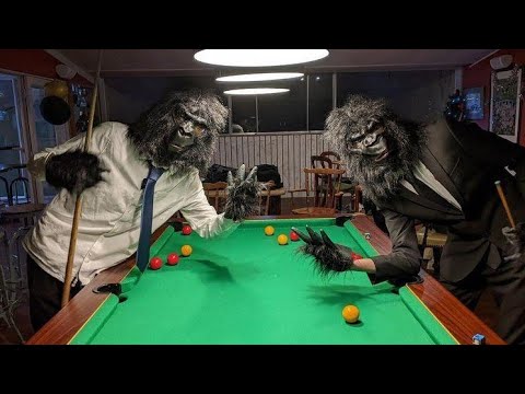 MTSG - Monkey Monday (Official Music Video)