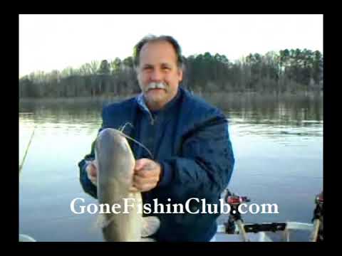 Santee Cooper's Hidden Gem: The Thrilling Quest for Giant Catfish