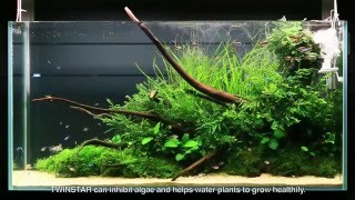 Twinstar 2 NANO Plus - odstraňovač řas