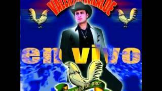 Amor Prisionero - Valentin Elizalde