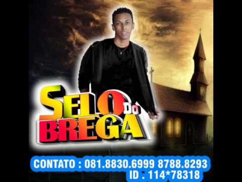 Selo do Brega   Bota Com Raiva   TREM BALA 2012