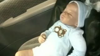 Cops Break Into Car, Save Helpless Baby Doll Trapped Inside