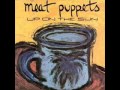MEAT PUPPETS - Hot Pink